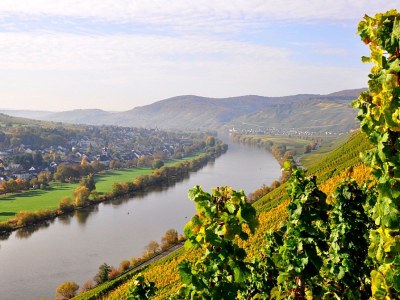 Holiday apartment Licht - Environment photo 17