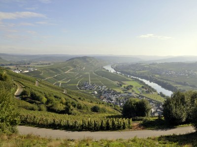 Holiday apartment Licht - Environment photo 19