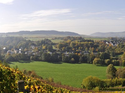 Holiday apartment Licht - Environment photo 20