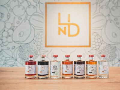 Apartment Appartement/Fewo, Dusche, WC, Terrasse - Outdoor photo 10