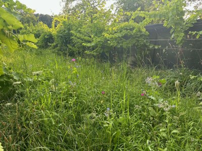 Apartment Appartement/Fewo, Dusche, WC, Terrasse - Outdoor photo 11