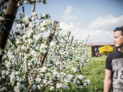 Apartment Appartement/Fewo, Dusche, WC, Terrasse - Outdoor photo 17