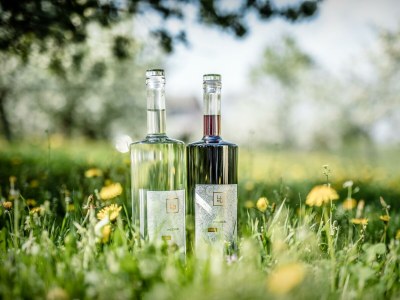 Apartment Appartement/Fewo, Dusche, WC, Terrasse - Outdoor photo 18