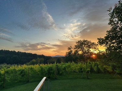 Apartment Appartement/Fewo, Dusche, WC, Terrasse - Outdoor photo 24