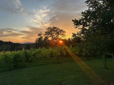 Apartment Appartement/Fewo, Dusche, WC, Terrasse - Outdoor photo 25
