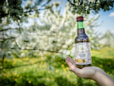 Apartment Appartement/Fewo, Dusche, WC, Terrasse - Outdoor photo 31