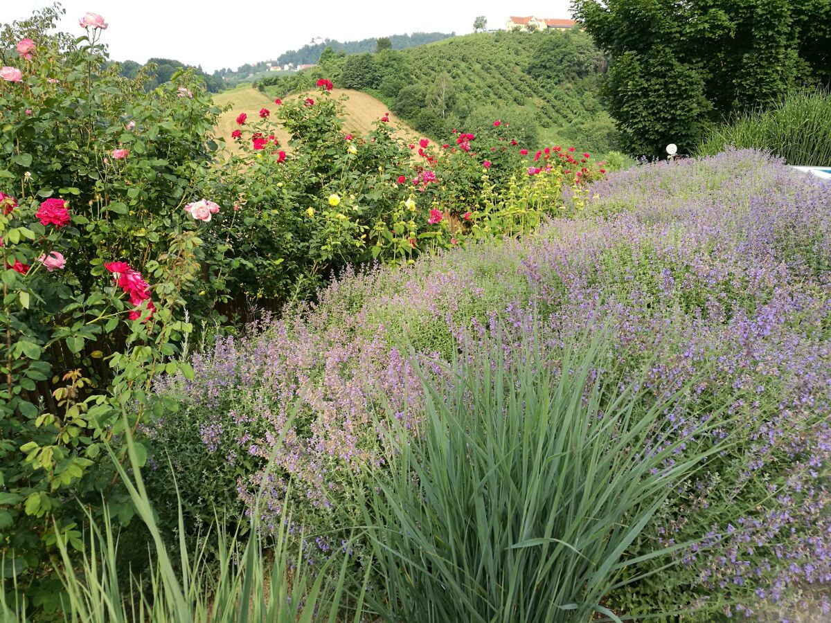 Apartment Appartement Gartenblick - Outdoor photo 2