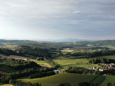 Apartment Appartement Gartenblick - Outdoor photo 6