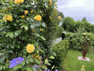 Apartment Appartement/Fewo, Dusche, WC, neuwertig - Outdoor photo 11