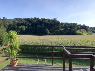 Apartment Deluxe Familiensuite - Outdoor photo 11