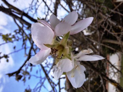 Apartment Appartment Kristall Real - Outdoor photo 14