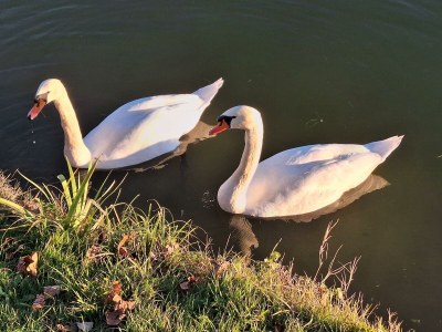 Apartment Appartment Kristall Real - Outdoor photo 18