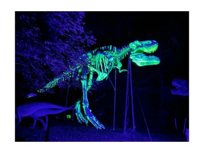 Holiday room Baumhaus Afrika 2.2 | 1 Nacht | Halbpension - Outdoor photo 11