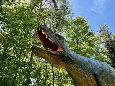 Holiday room Baumhaus Afrika 2.2 | 1 Nacht | Halbpension - Outdoor photo 20