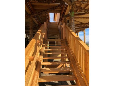 Holiday room Baumhaus Afrika 2.2 | 1 Nacht | Halbpension - Features photo 38