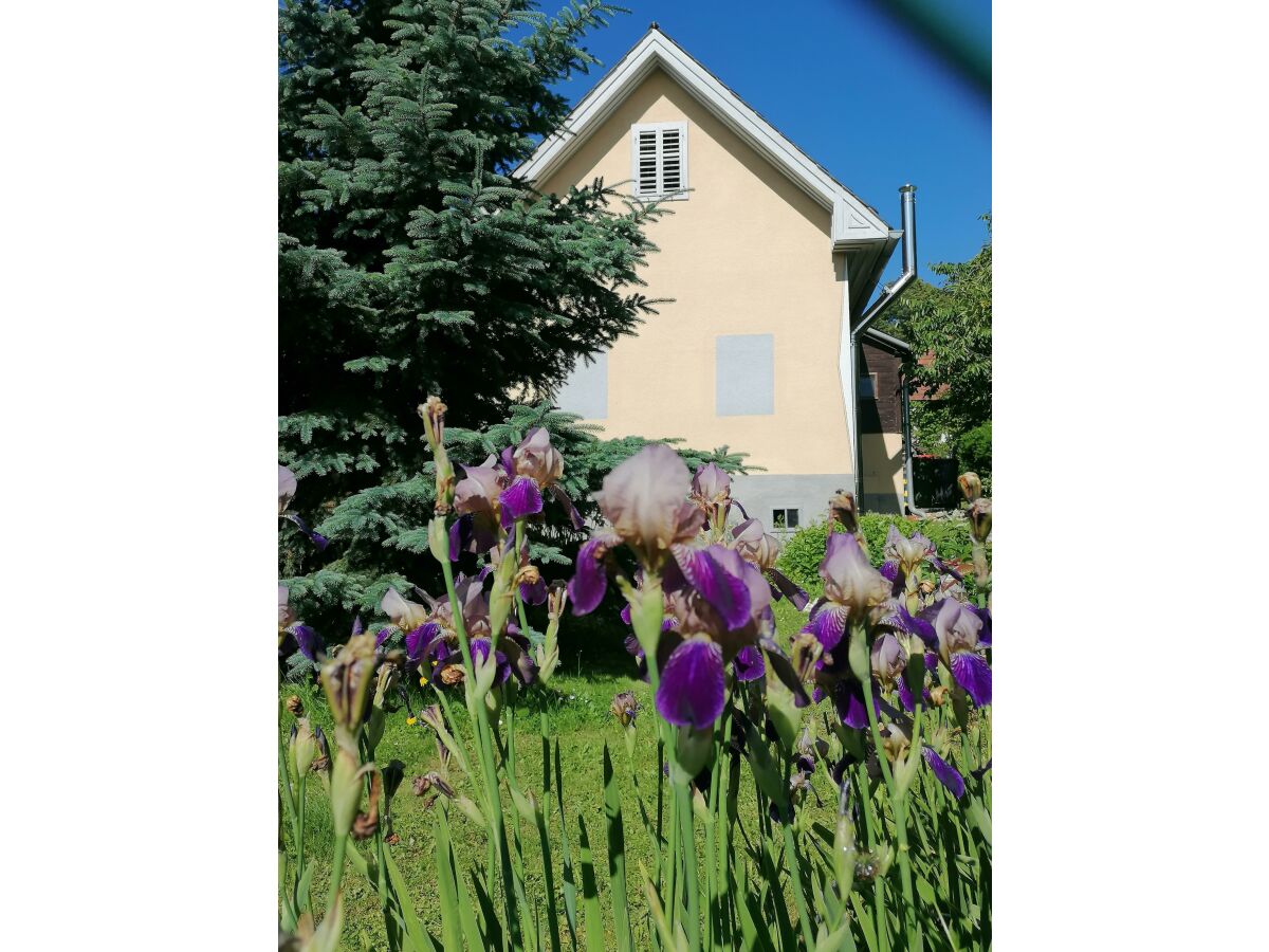 Apartment Ferienhaus klein und fein