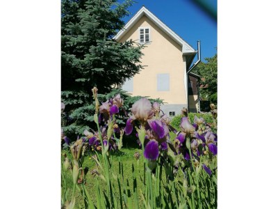 Apartment Ferienhaus klein und fein in Bad Blumau - Apartment