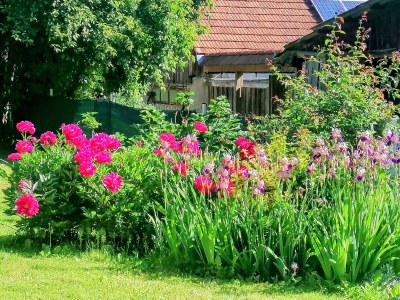 Apartment Ferienhaus klein und fein - Outdoor photo 3