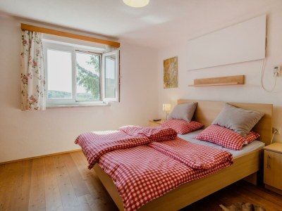 Apartment Kellerstöckl in St. Anna am Aigen - Apartment