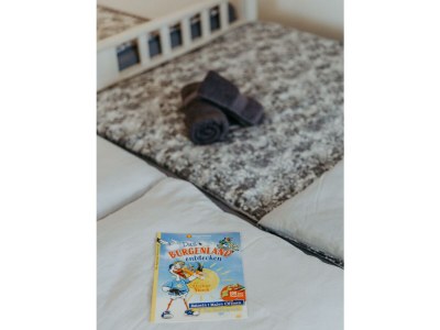 Apartment Appartement Elisa, Dusche, WC, Studio - Features photo 25