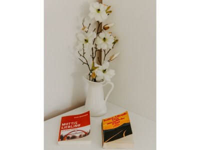 Apartment Appartement Elisa, Dusche, WC, Studio - Features photo 28