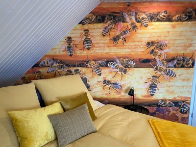 Apartment Ferienwohnung Bienenstube - Outdoor photo 3