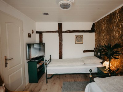 Apartment Ferienwohnung Weintraube - Features photo 70