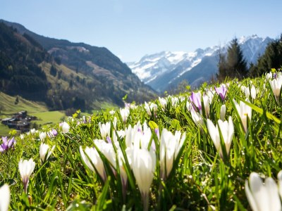 Holiday room Kleines Doppelzimmer Mini - Outdoor photo 16
