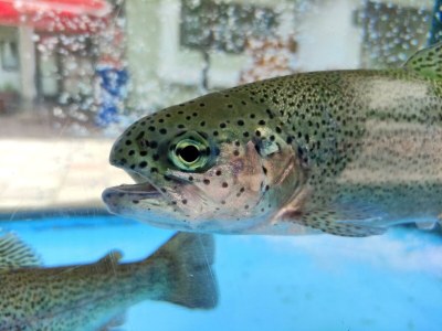 Holiday room Kleines Doppelzimmer Mini - Outdoor photo 34