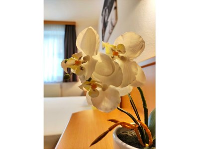 Holiday room Kleines Doppelzimmer Mini - Features photo 48