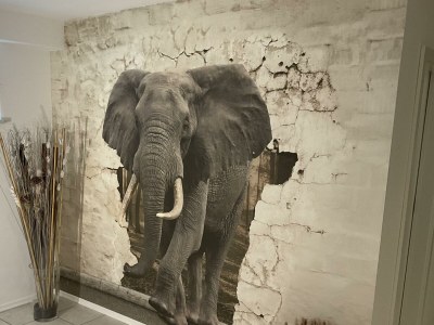 Apartment Appartement/Fewo, Dusche, WC - Outdoor photo 7