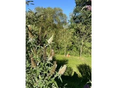 Apartment Appartement/Fewo, Dusche, WC - Outdoor photo 19