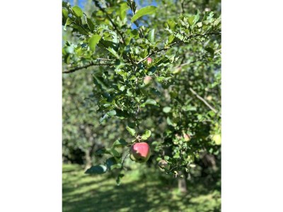 Apartment Appartement/Fewo, Dusche, WC - Outdoor photo 25