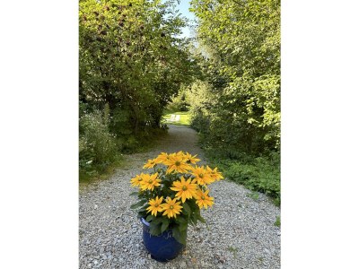 Apartment Appartement/Fewo, Dusche, WC - Outdoor photo 29