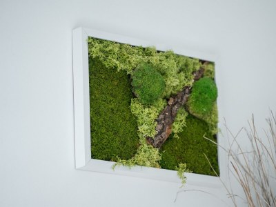 Apartment Ferienwohnung Nussbaumblick - Outdoor photo 10