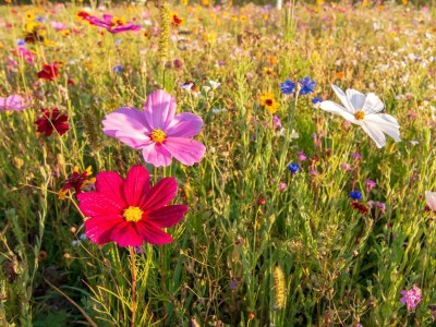 Holiday room Familienzimmer für 2 Erwachsen + 2 Kinder - Outdoor photo 17