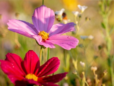 Holiday room Familienzimmer für 2 Erwachsen + 2 Kinder - Outdoor photo 37