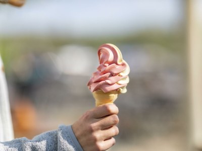Holiday room Familienzimmer für 2 Erwachsen + 2 Kinder - Outdoor photo 42