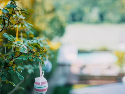 Apartment Ferienhaus, Dusche, WC - Features photo 68