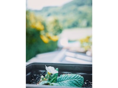 Apartment Ferienhaus, Dusche, WC - Features photo 85