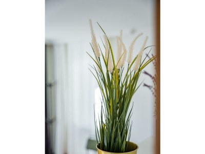 Apartment Donaublick Apfelstrudel - Features photo 24