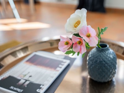 Apartment Donaublick Apfelstrudel - Features photo 31