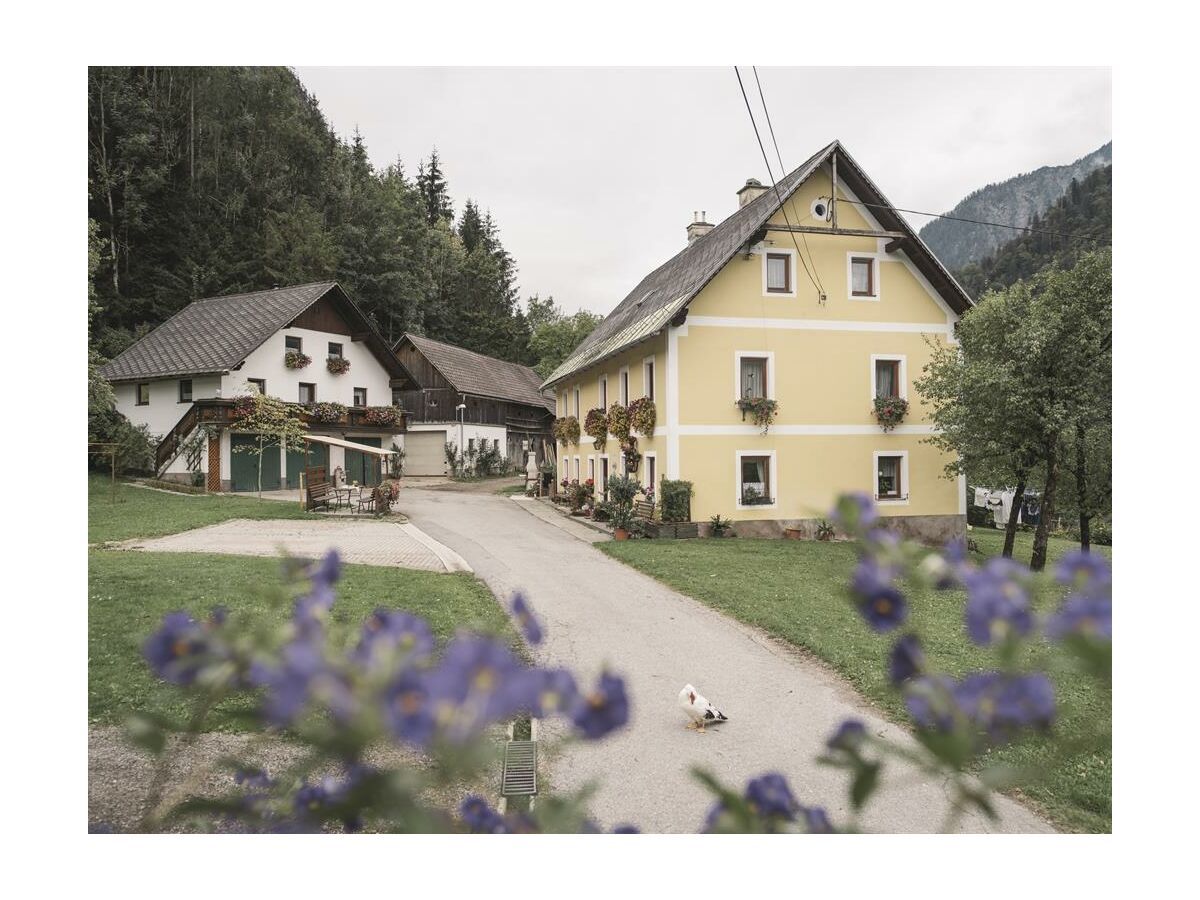 Apartment Appartement Wald ohne Frühstück