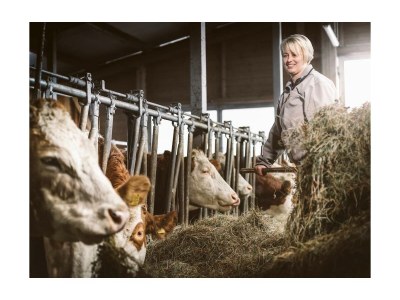 Apartment Appartement Wald ohne Frühstück - Outdoor photo 7