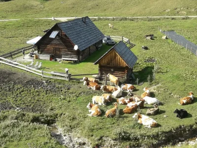 Apartment Appartement/Fewo, Dusche, WC, 1 Schlafraum in Admont - Apartment