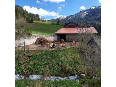 Apartment bis 6 Nächte - Outdoor photo 27