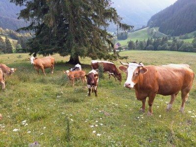 Apartment bis 6 Nächte - Outdoor photo 28