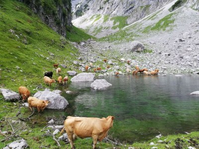 Apartment bis 6 Nächte - Outdoor photo 29