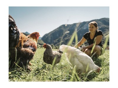 Apartment Fewo Kräutergartl in Landl - Apartment