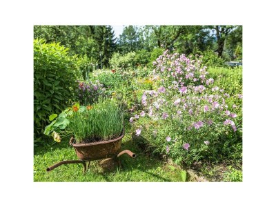 Apartment Fewo Kräutergartl - Outdoor photo 7